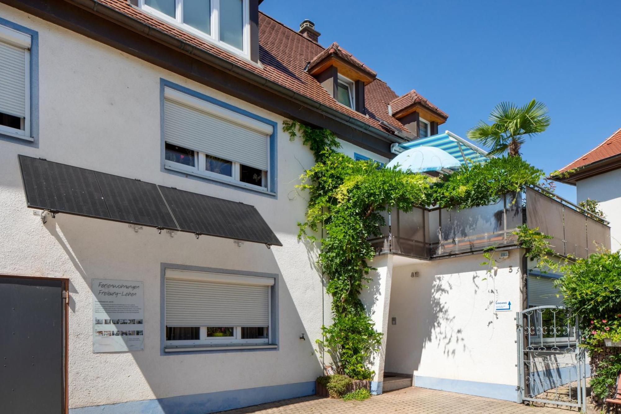 Haus Birkenmeier 弗赖堡 外观 照片